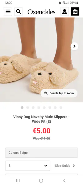 Novelty dog slippers