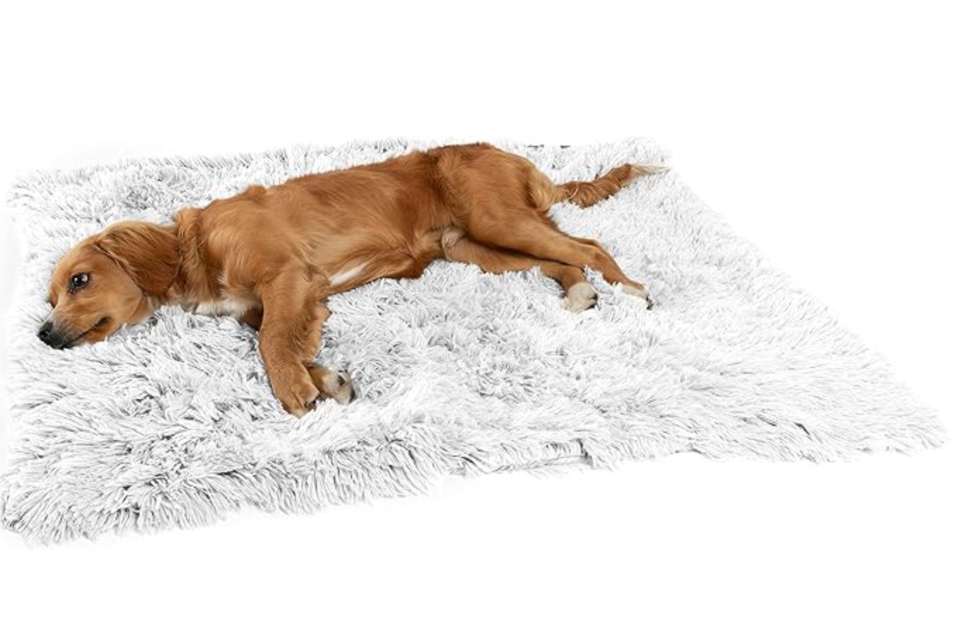 Best Friends by Sheri Calming Shag Dog Blanket, Frost, 30" x 40"